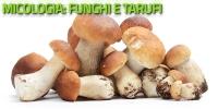 Micologia (Funghi e tartufi)
